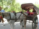 trip_to_agra * (15 Slides)