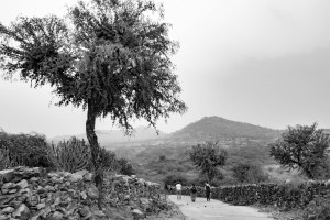 cecfee-udaipur-28
